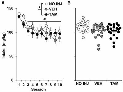 Tamoxifen Blocks the Development of Motivational Features of an Addiction-Like Phenotype in Female Rats